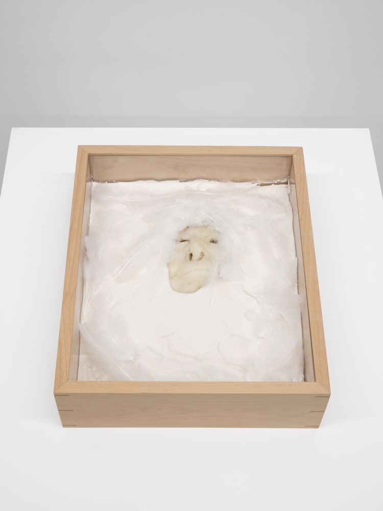 Lynn Hershman Leeson, Blanched expression with Feathers, 1965-2021