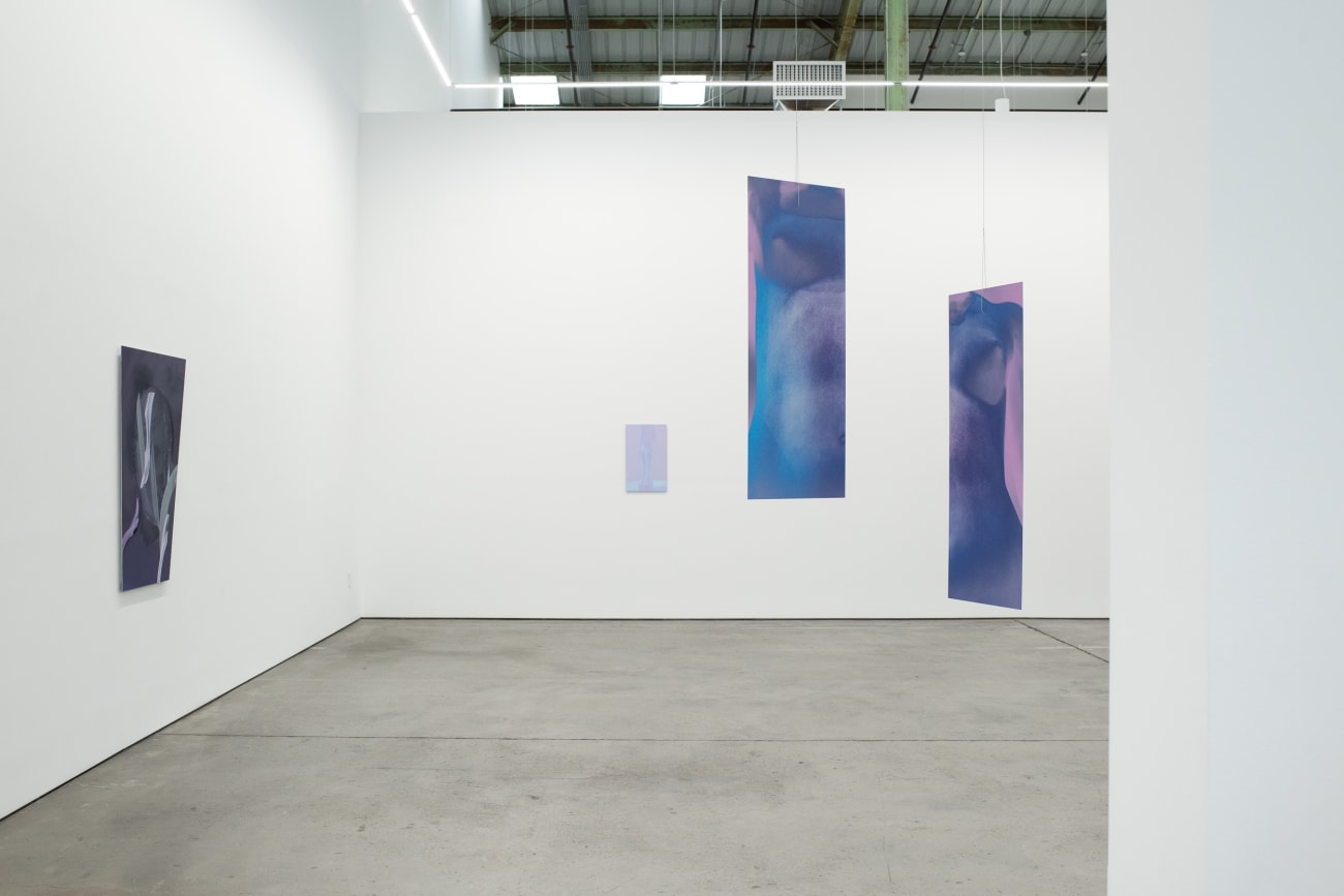 Sara VanDerBeek, Future Variations II, 2021
