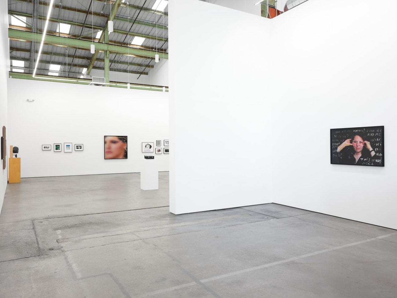 Lynn Hershman Leeson, How Did This Happen?, 2012