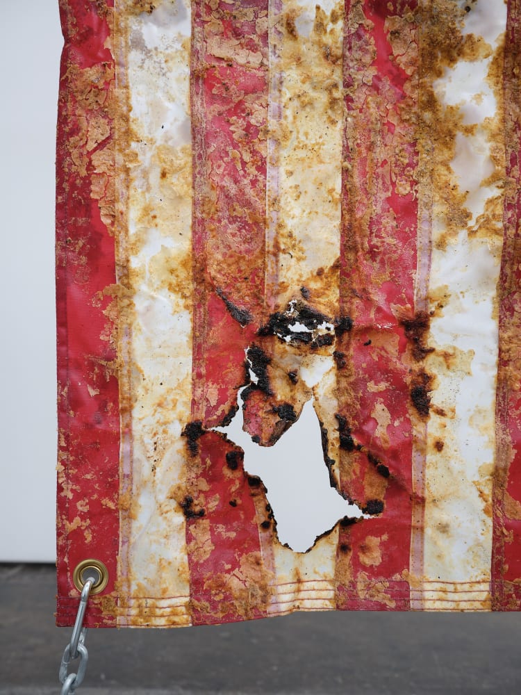 Kiyan Williams, Fried and Suspended Flag, 2022