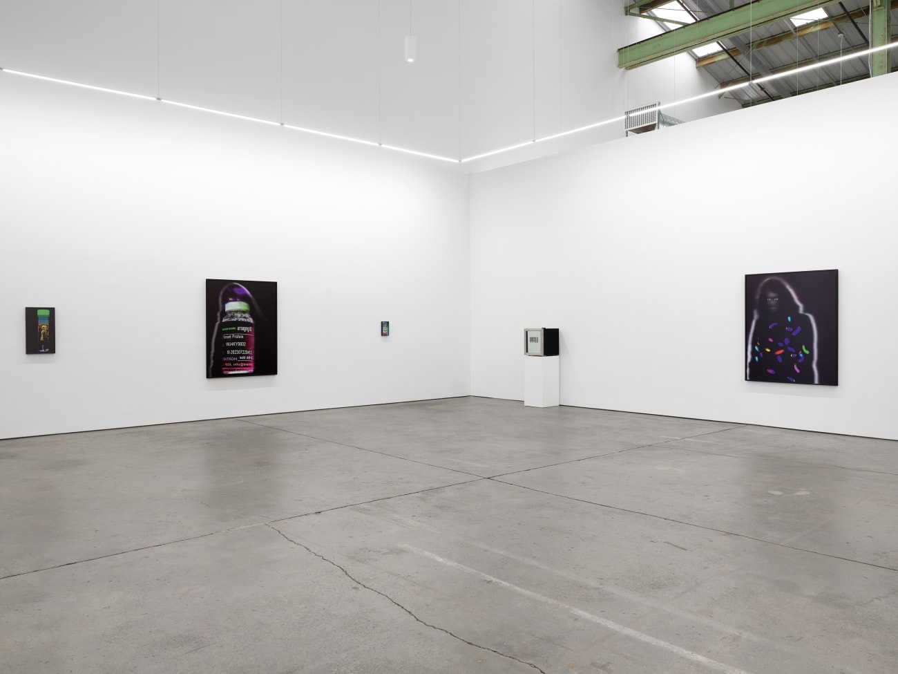 Lynn Hershman Leeson, Home Companions, 2025