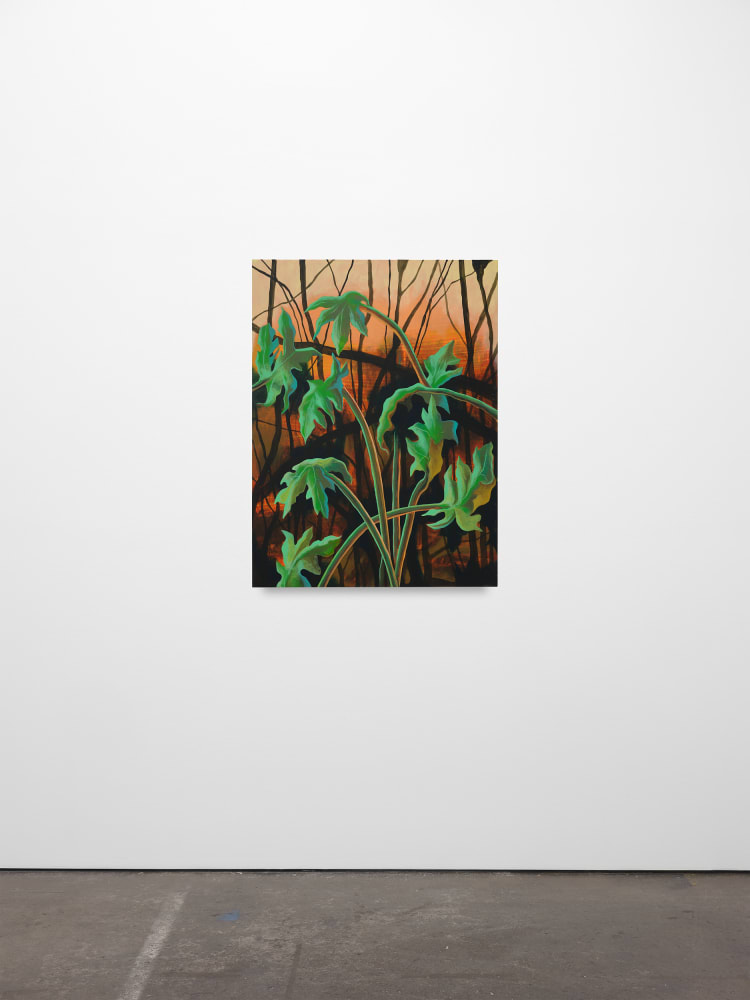 Didier William, Miami Papaya, 2024