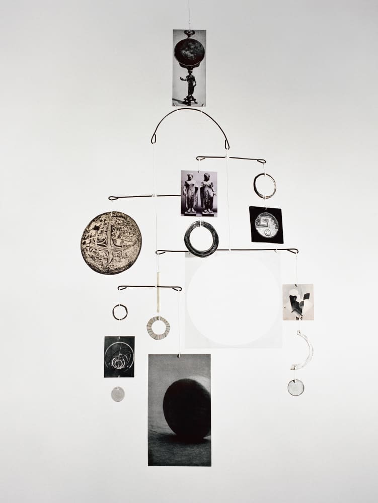 Sara VanDerBeek, From the Means of Reproduction, 2007