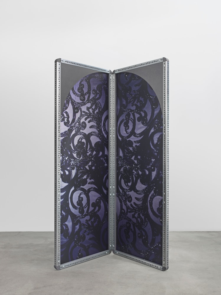 Sara VanDerBeek, Lace Interlace X, 2024