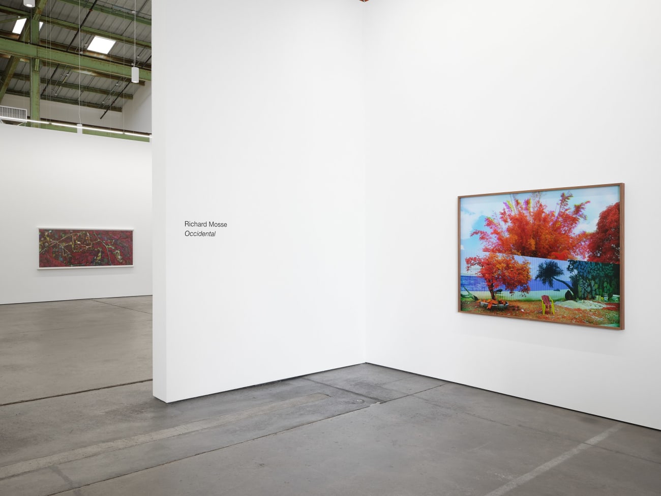 Richard Mosse, Repose, Belem, Pará, 2023