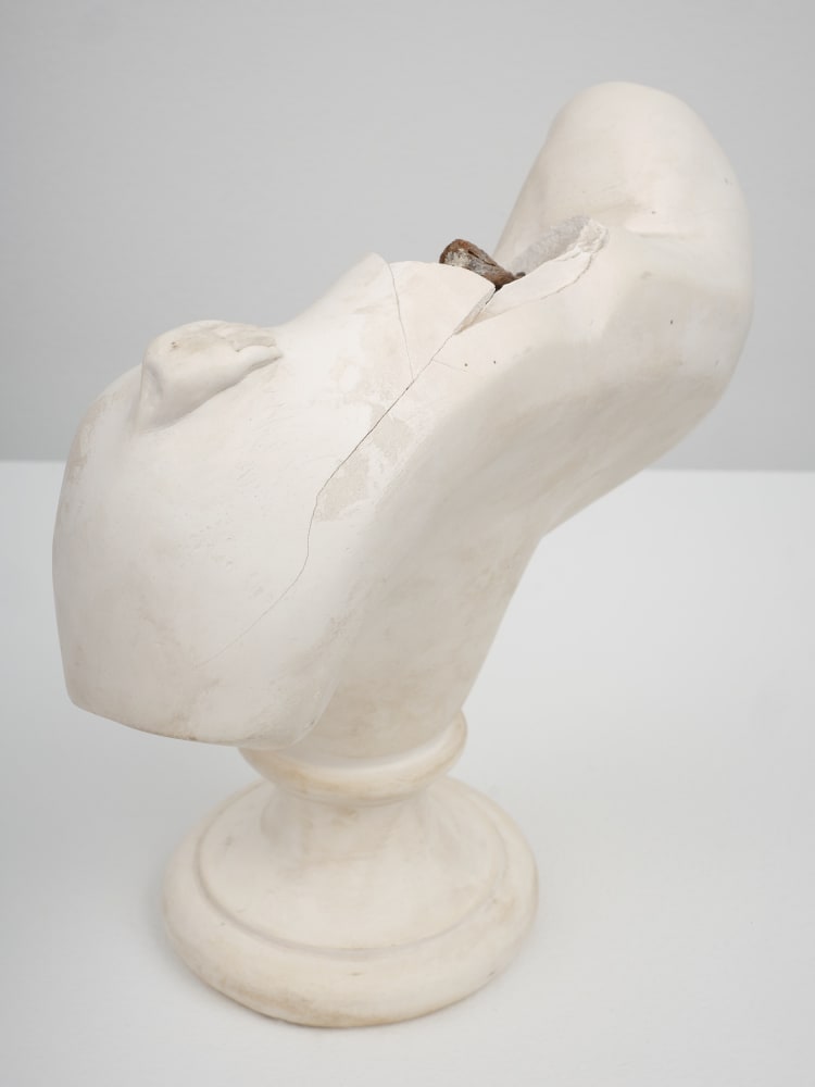 Fred Wilson, Untitled (Bust), 1992-2000