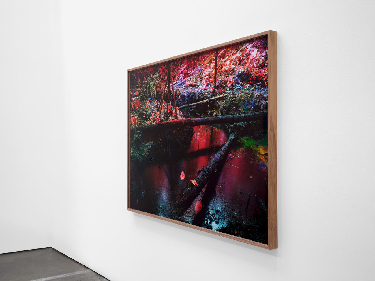 Richard Mosse, Oil Spill on Kichwa Territory I, Block 192, Rio Tigre, Loreto, 2023