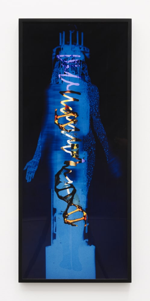 Lynn Hershman Leeson, Simple, 2020