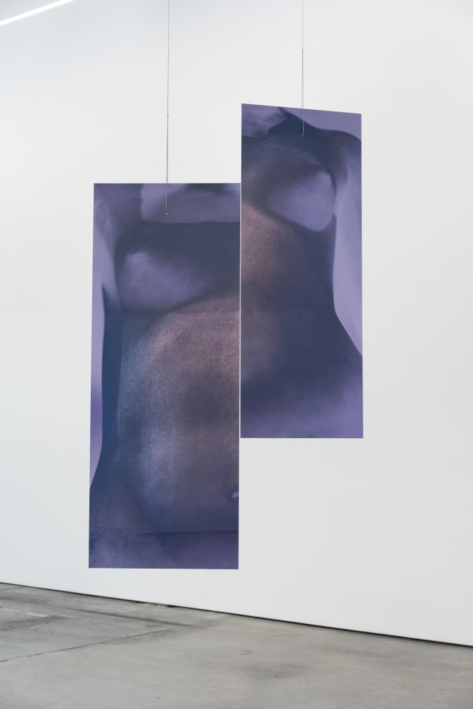 Sara VanDerBeek, Future Variations II, 2021
