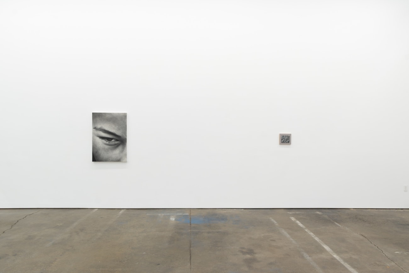 Victoria Gitman, On Display, 2010