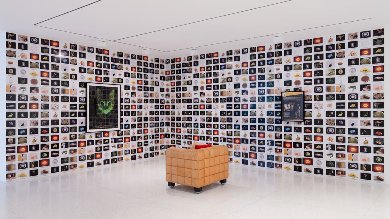 Lynn Hershman Leeson, The Infinity Engine: Glo Cat, 2013