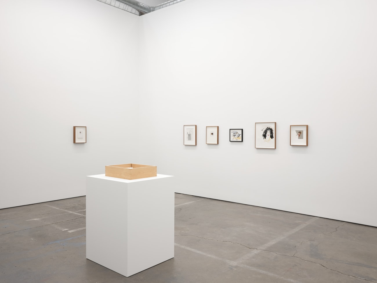 Lynn Hershman Leeson, Blanched expression with Feathers, 1965-2021