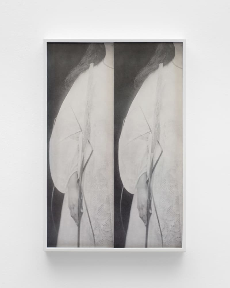 Sara VanDerBeek, Mirrored, 2023