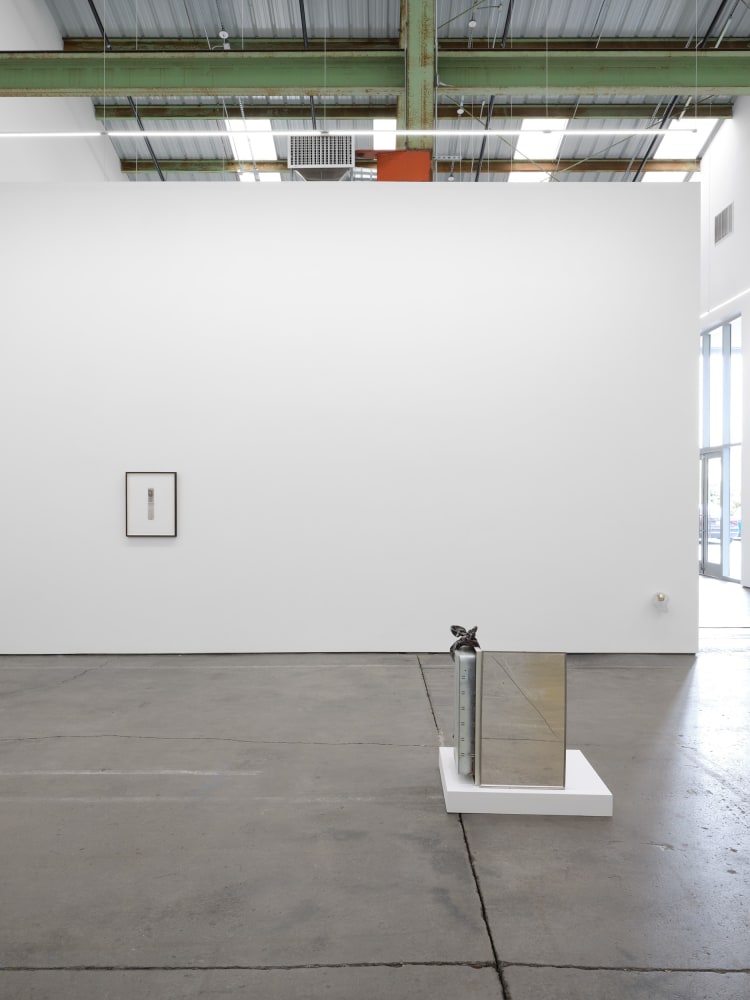 Danh Vo, 6.12.1945, 2014