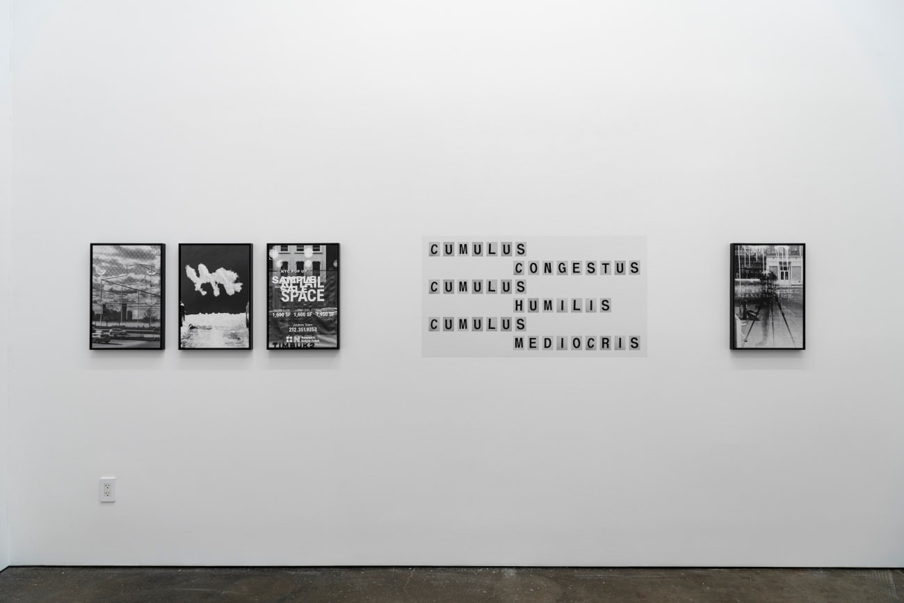Shannon Ebner, THEATRICAL LANDSCAPE, 2022