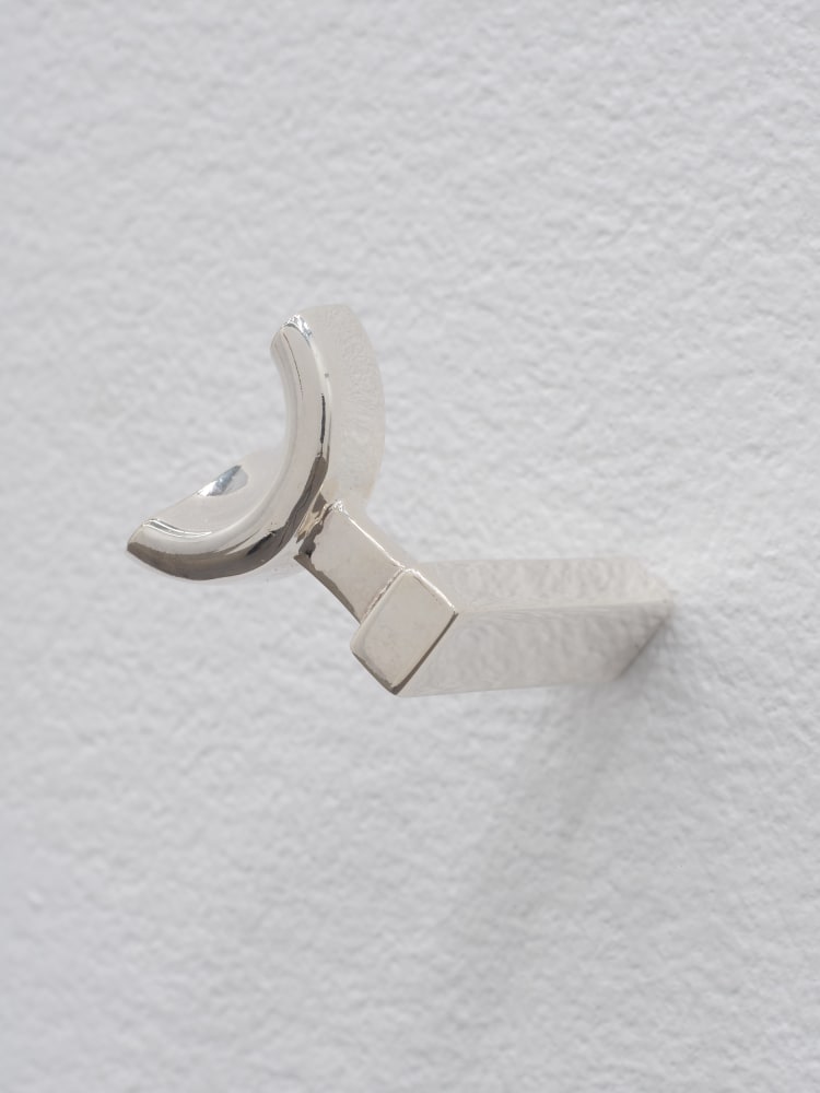 Grant Mooney, Partials i-xvi, 2021