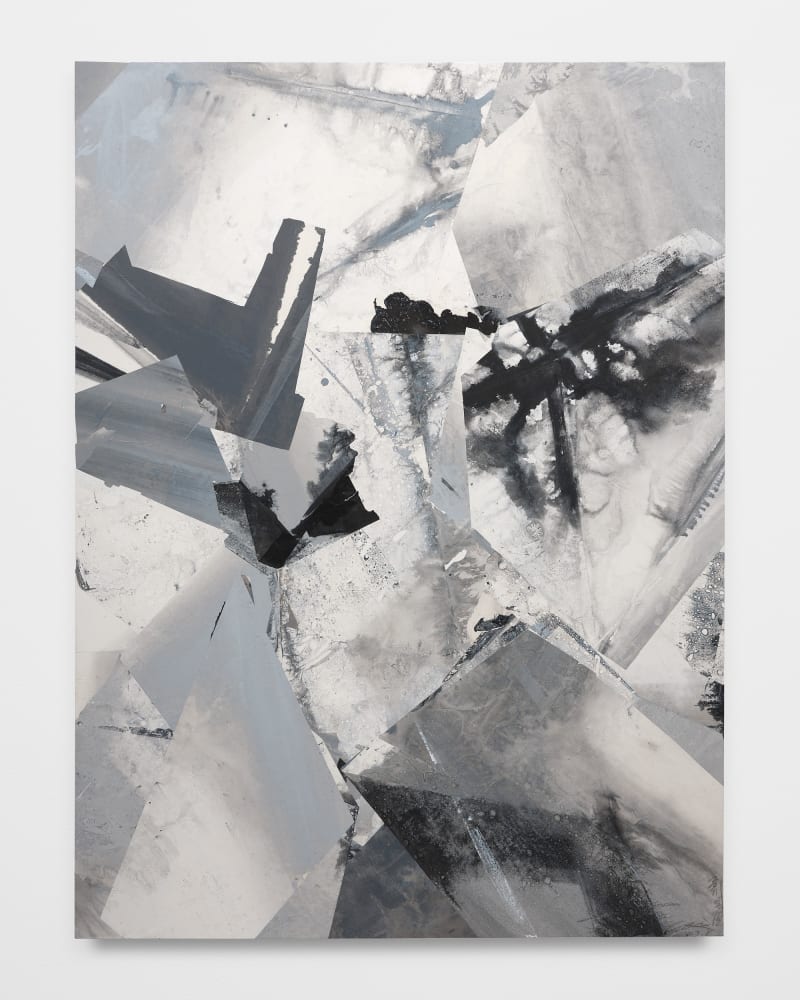 Zheng Chongbin, Light Ecology 00-A, 2023
