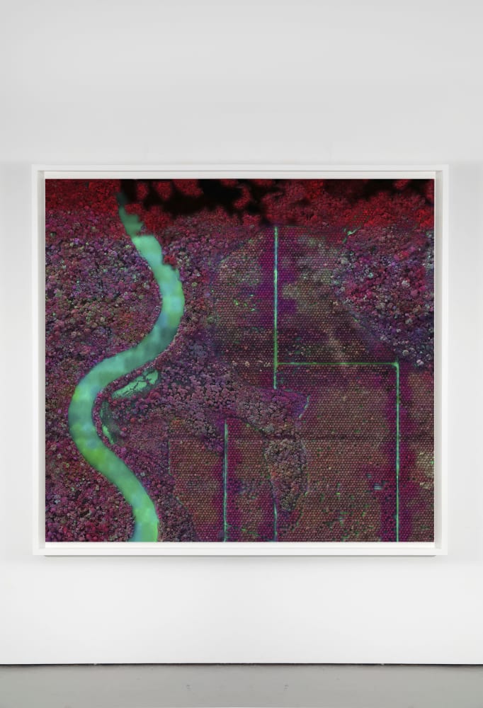 Richard Mosse, Palm Plantation, 2021