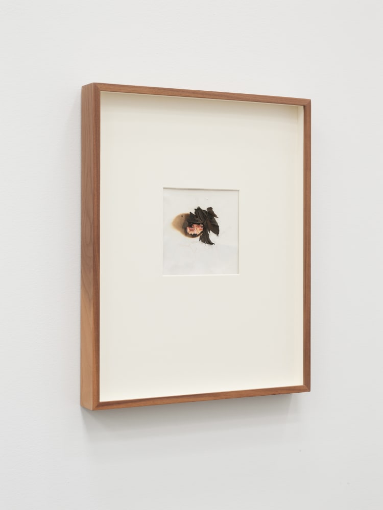 Lynn Hershman Leeson, Eye Protection For Reality, 2020