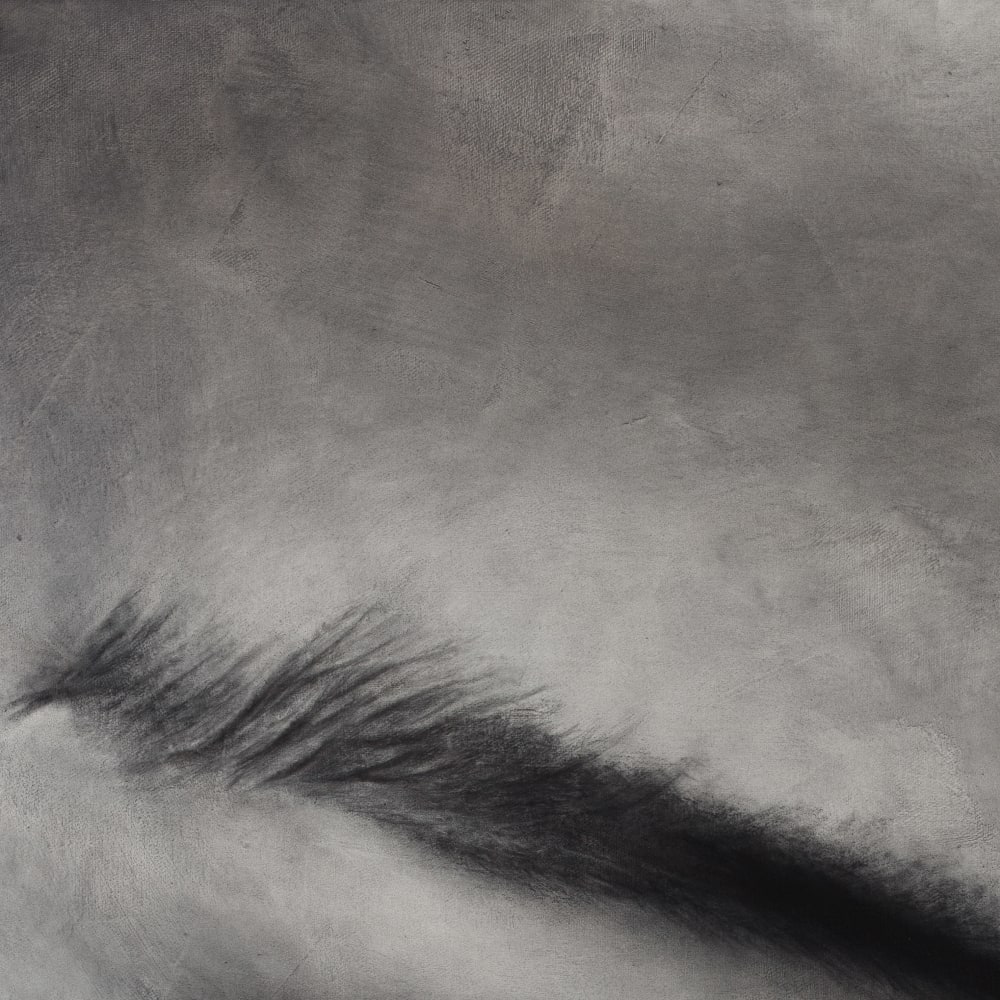 Alexandre Zhu, Two-Speed, 2025