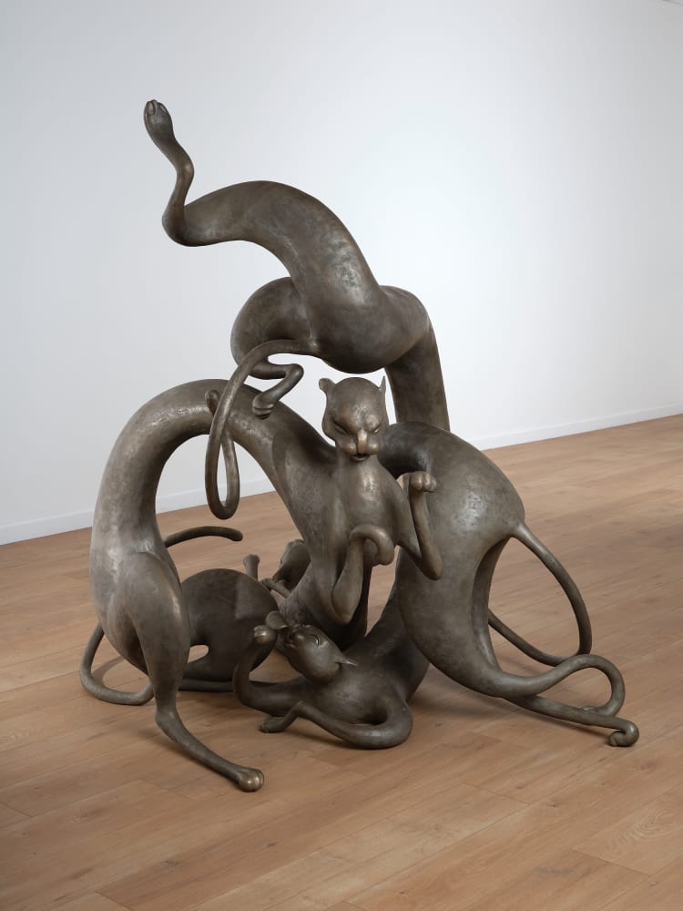 Koak, Strange Loop, 2021