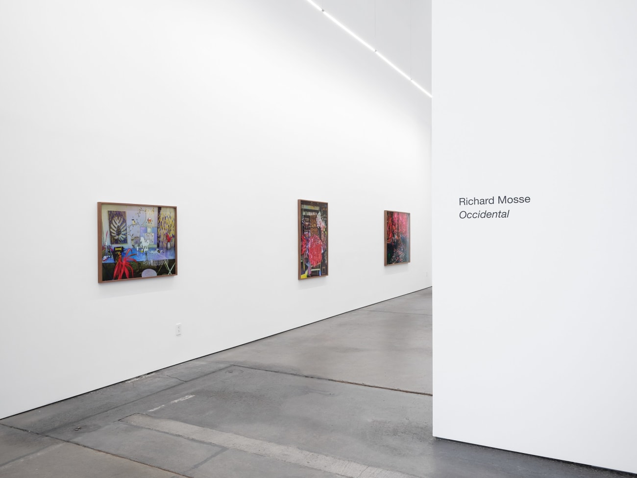 Richard Mosse, Studio for Igor Oliveira, artist, I, Belem, Pará, 2023
