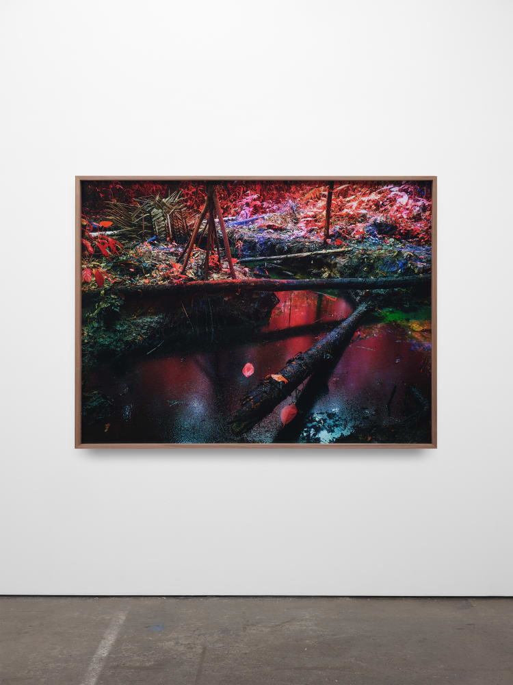 Richard Mosse, Oil Spill on Kichwa Territory I, Block 192, Rio Tigre, Loreto, 2023