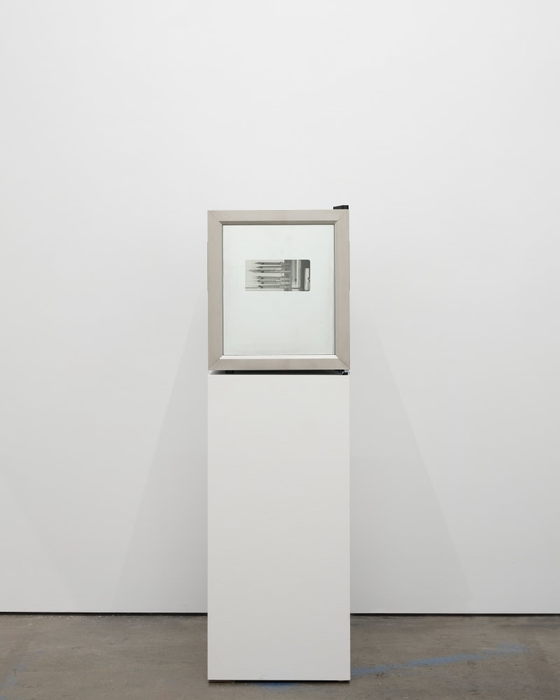 Lynn Hershman Leeson, Eternally Yours, 2023