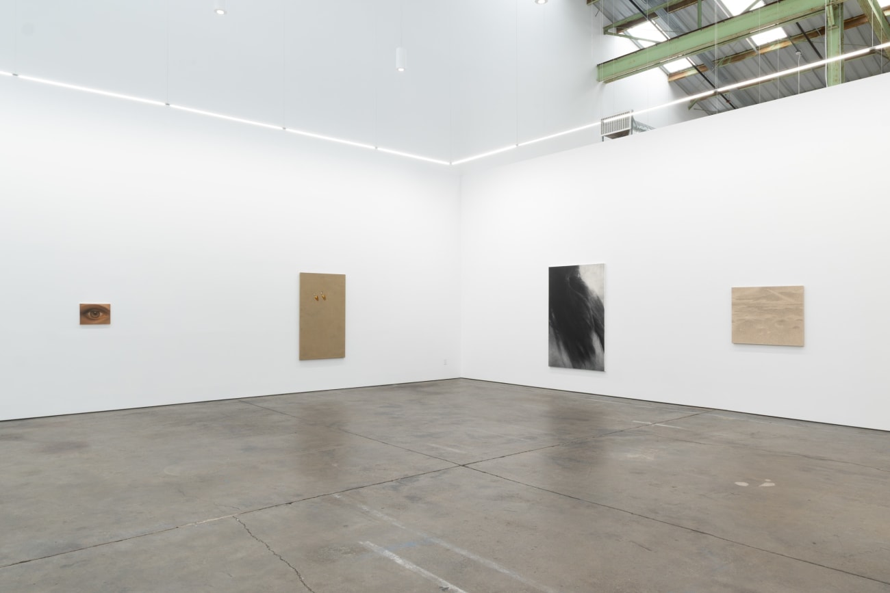 Xiaochi Dong, Dungeness Moss, 2025
