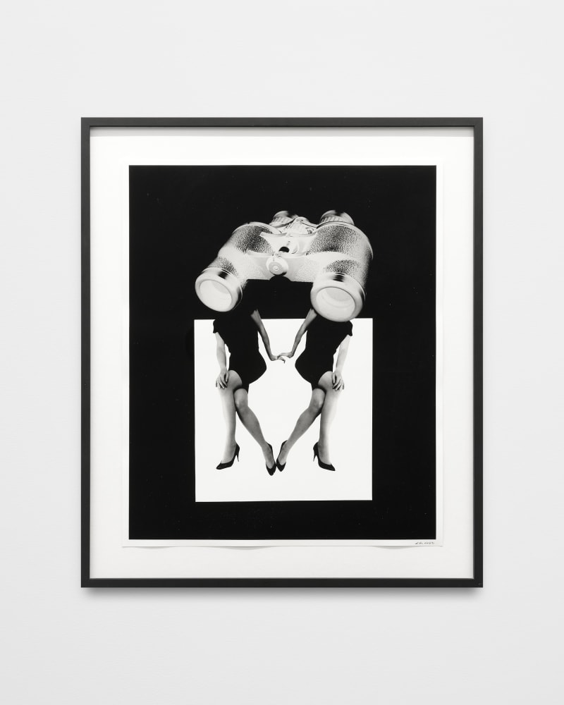 Lynn Hershman Leeson, Binocular Vision, 1987