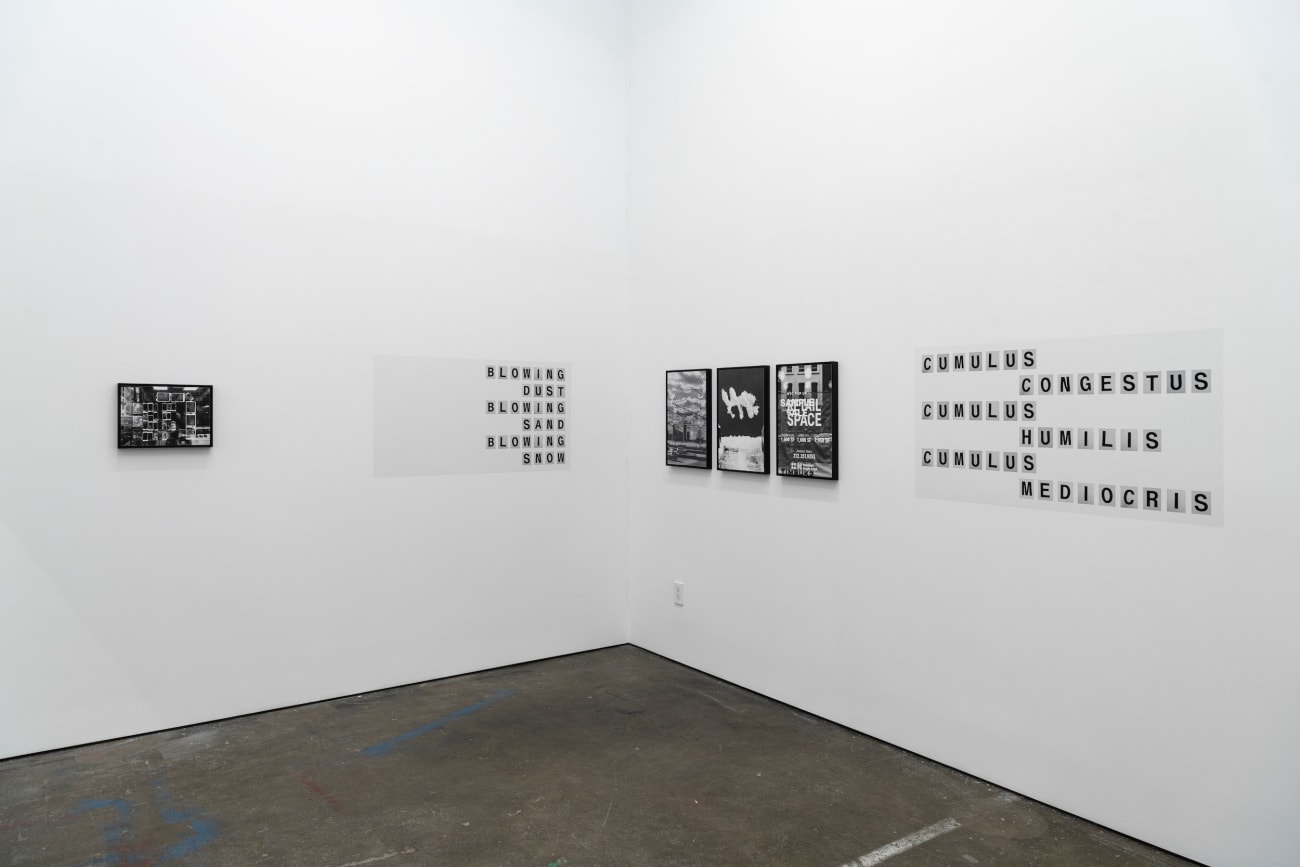 Shannon Ebner, SNOW DRIFT'R, 2022