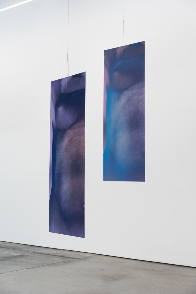Sara VanDerBeek, Future Variations II, 2021