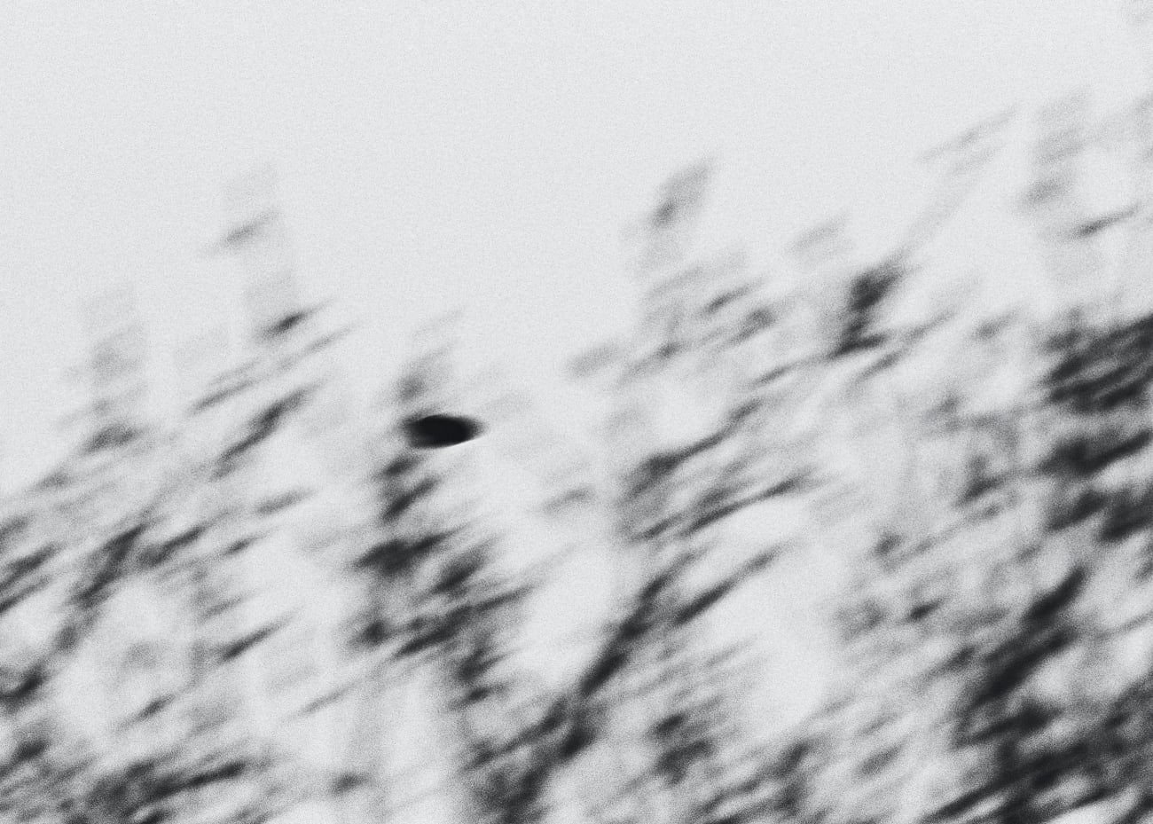 Trevor Paglen, Near Cemetery Road (undated), 2024