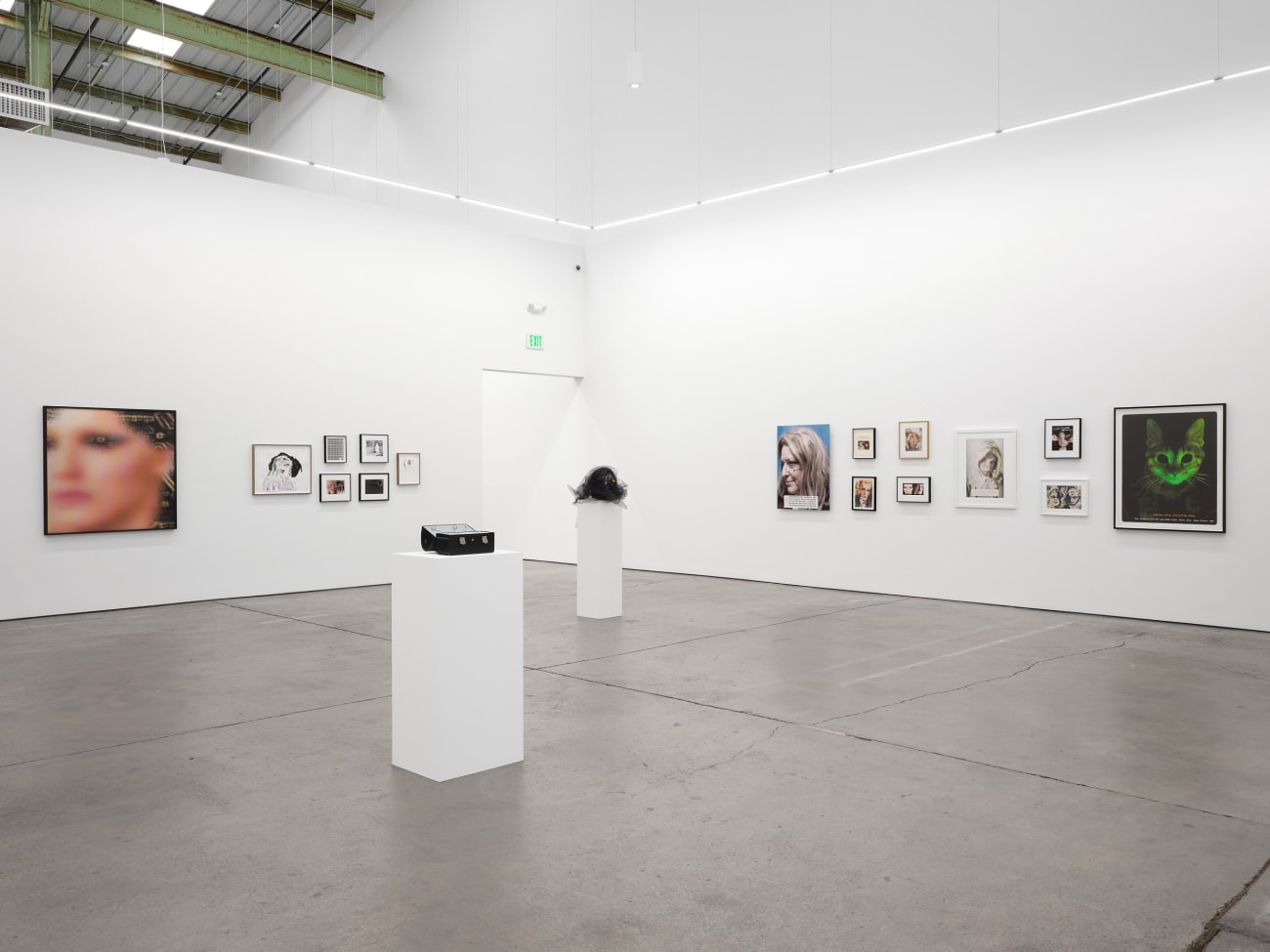 Lynn Hershman Leeson, The Infinity Engine: Glo Cat, 2013