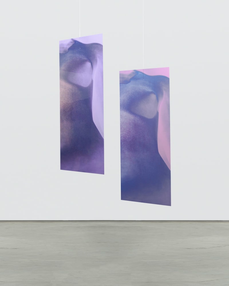 Sara VanDerBeek, Future Variations II, 2021