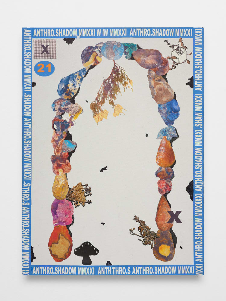 Dylan Roberts, Anthro.Shadow, 2021