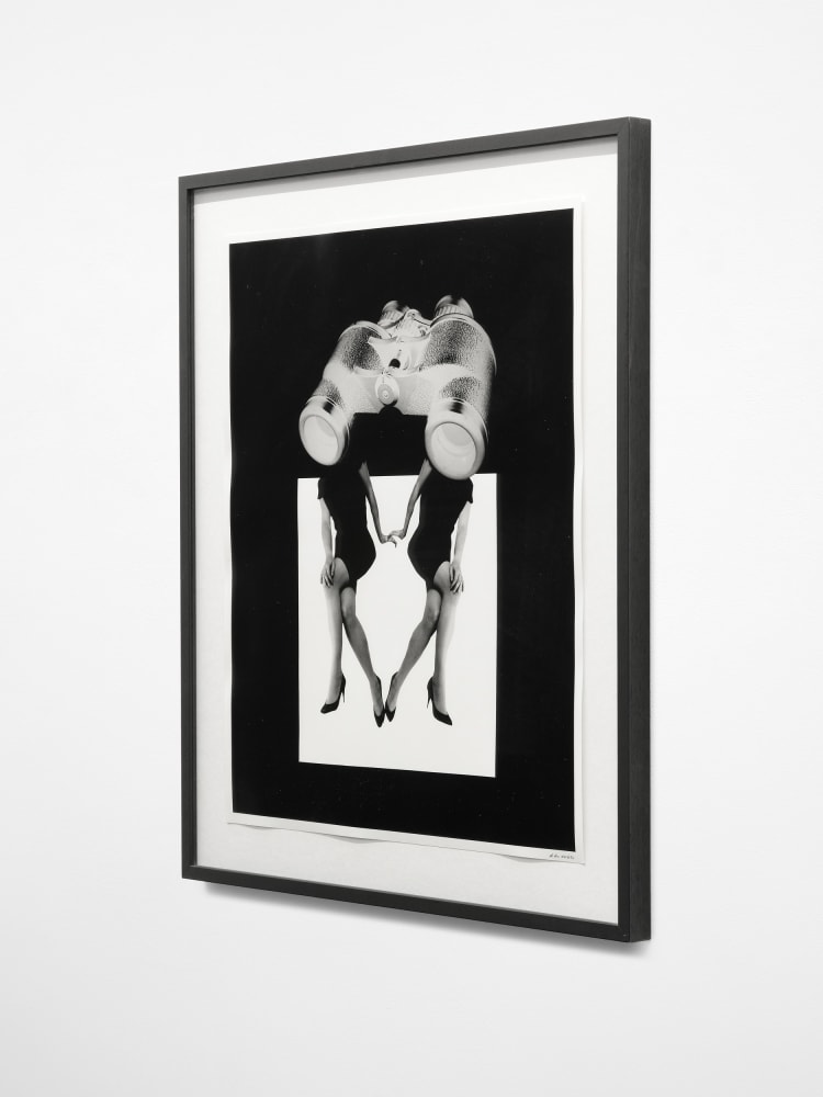 Lynn Hershman Leeson, Binocular Vision, 1987