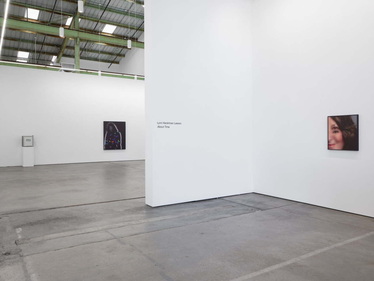 Lynn Hershman Leeson, Eye for an Eye, 2025