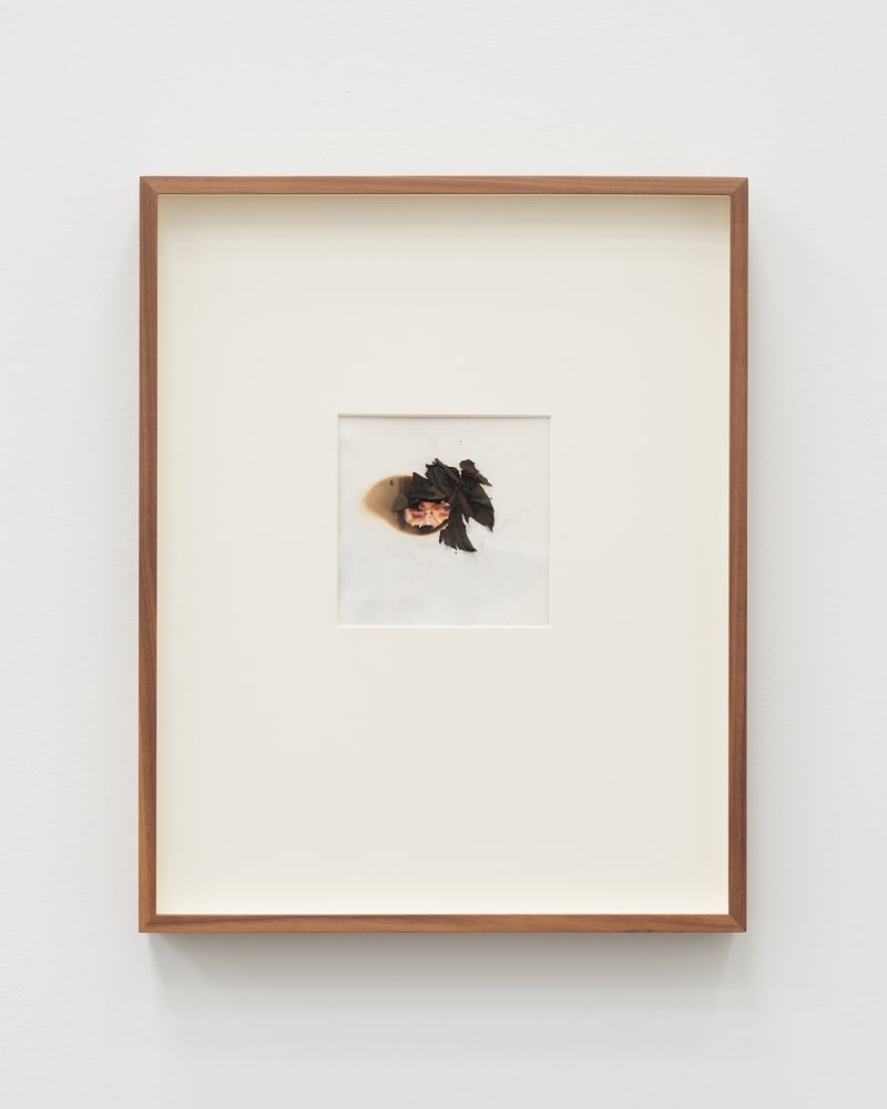 Lynn Hershman Leeson, Eye Protection For Reality, 2020