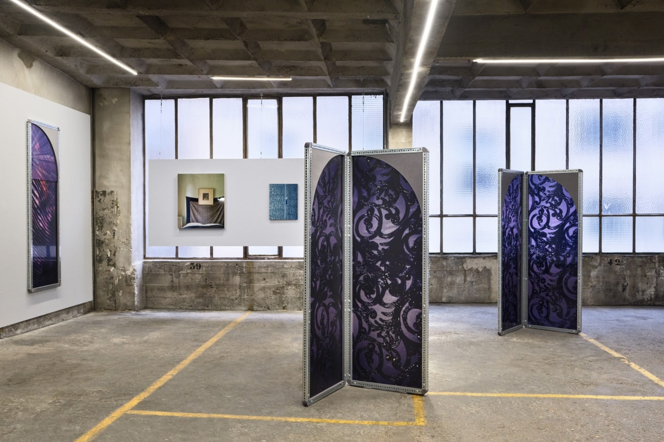 Sara VanDerBeek, Lace Interlace IX, 2024