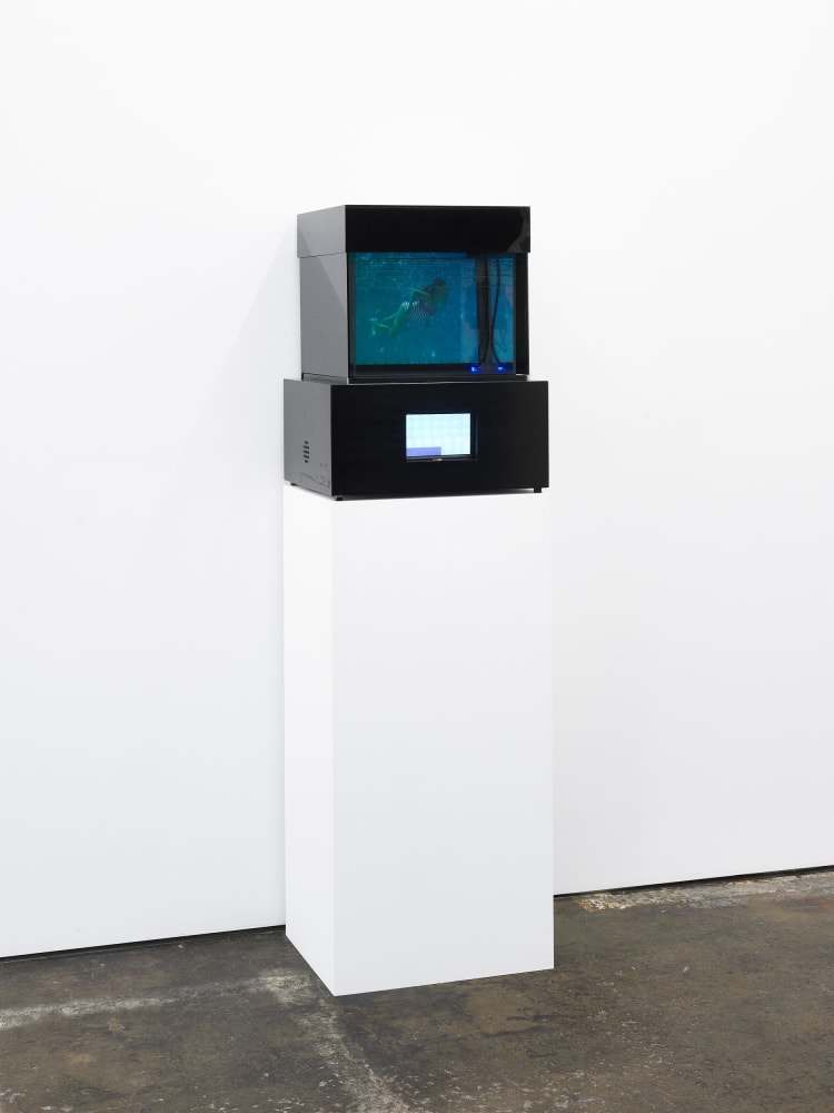 Lynn Hershman Leeson, Present Tense, 2012