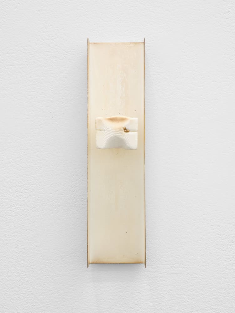 Grant Mooney, Deposition c. (xi), 2023