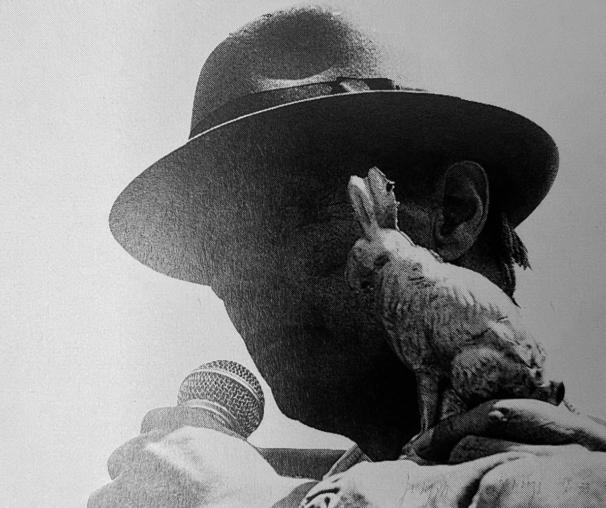 Joseph Beuys, Joseph Beuys multiples collection