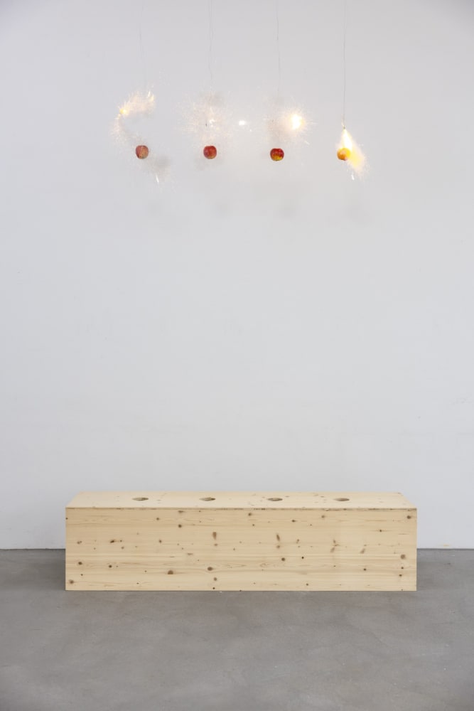 Roman Signer, Vier Apfel / Four Apples, 2011/2021