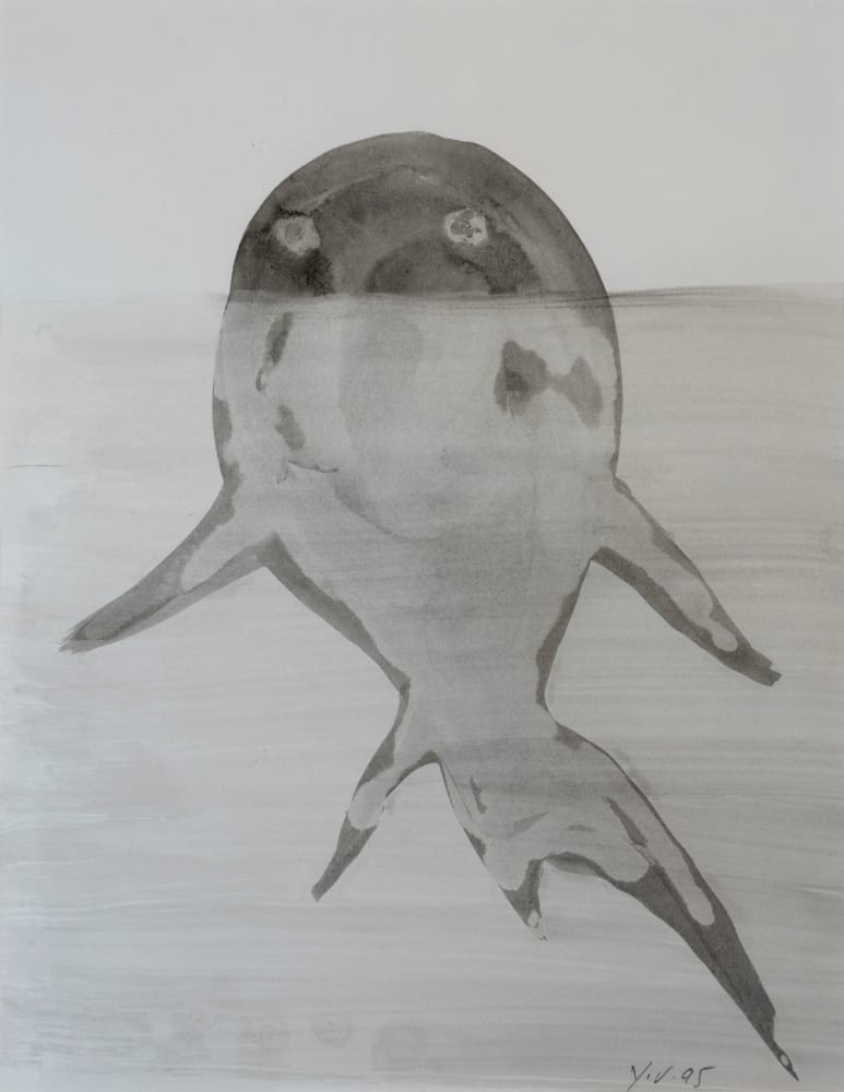 Yannick Vu, Requin farceur, 1995