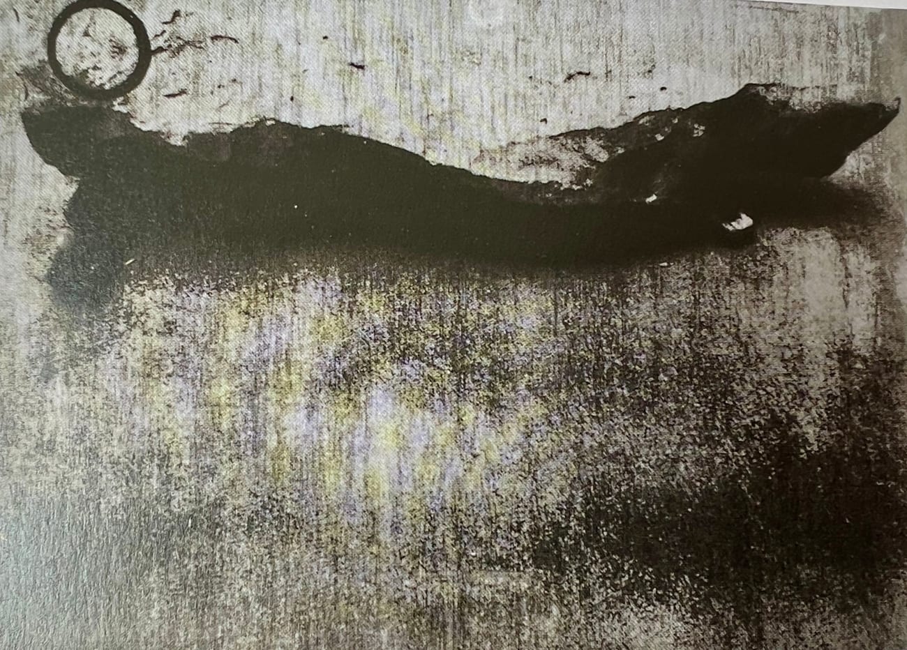 Joseph Beuys, Joseph Beuys multiples collection