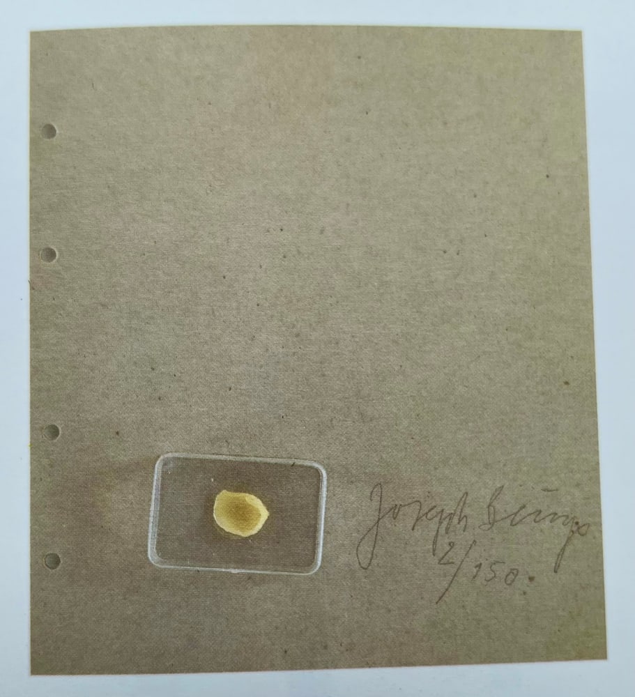 Joseph Beuys, Joseph Beuys multiples collection