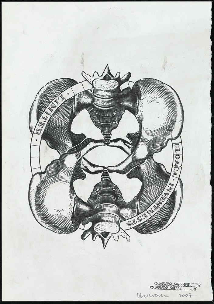 Wim Delvoye, Cloaca, 2007