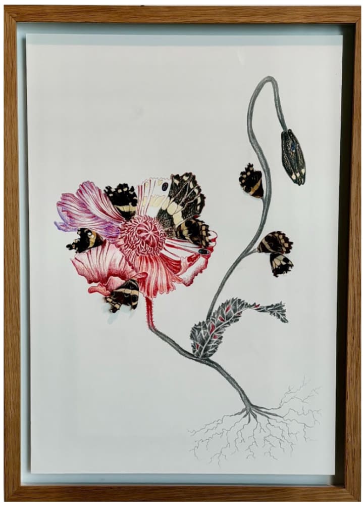 Rachel Marks, HYBRID I, 2024