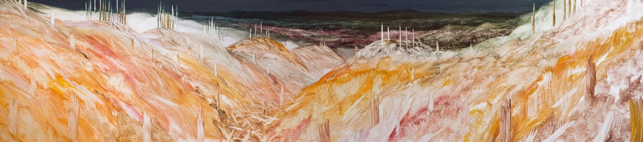 John WALSH, How to create a desert, 2020